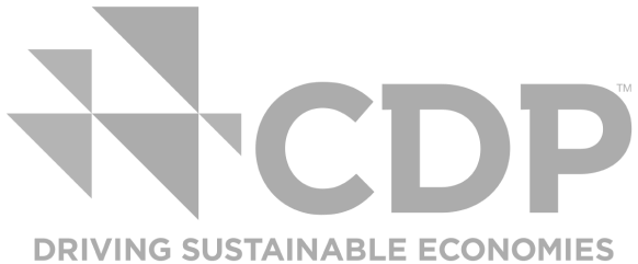 CDP logo in grey
